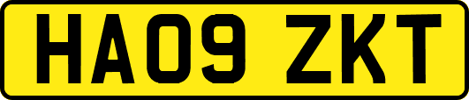 HA09ZKT