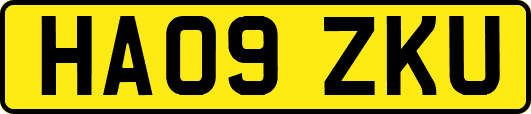 HA09ZKU