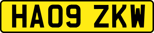 HA09ZKW