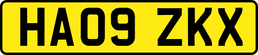 HA09ZKX