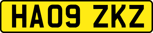 HA09ZKZ