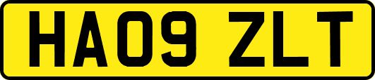 HA09ZLT