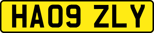 HA09ZLY