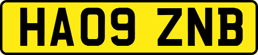 HA09ZNB