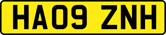HA09ZNH