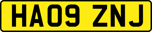 HA09ZNJ