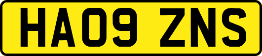 HA09ZNS