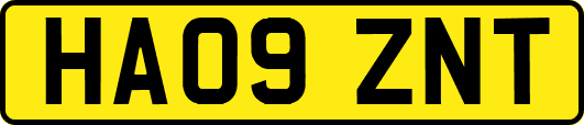 HA09ZNT