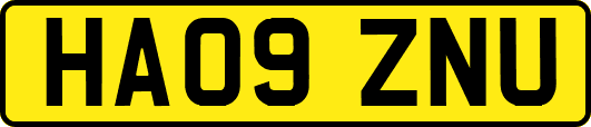 HA09ZNU