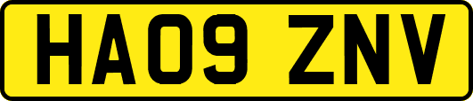 HA09ZNV