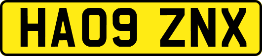HA09ZNX