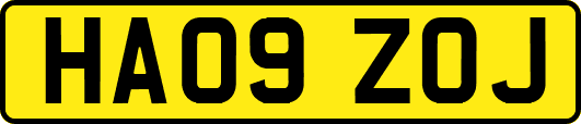 HA09ZOJ
