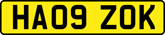 HA09ZOK