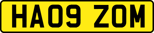 HA09ZOM