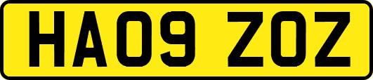 HA09ZOZ