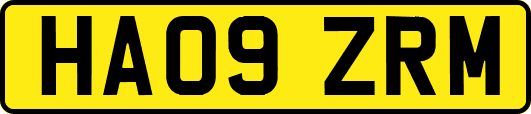HA09ZRM