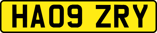 HA09ZRY