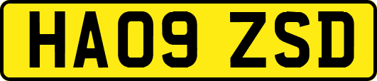 HA09ZSD