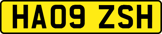 HA09ZSH