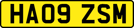 HA09ZSM