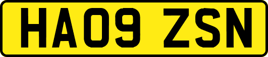 HA09ZSN