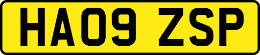 HA09ZSP