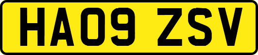 HA09ZSV