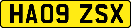 HA09ZSX