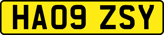 HA09ZSY