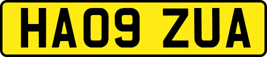 HA09ZUA