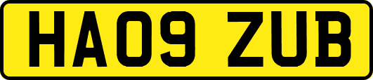 HA09ZUB