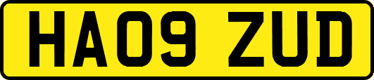 HA09ZUD