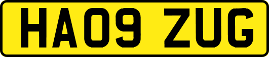 HA09ZUG