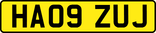 HA09ZUJ
