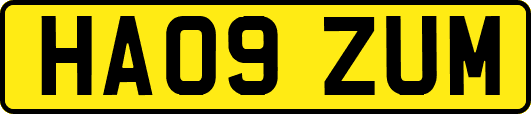 HA09ZUM