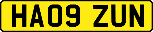 HA09ZUN