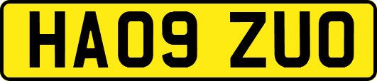 HA09ZUO