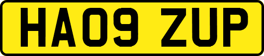 HA09ZUP
