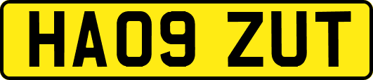 HA09ZUT