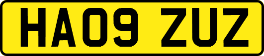 HA09ZUZ