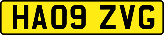 HA09ZVG
