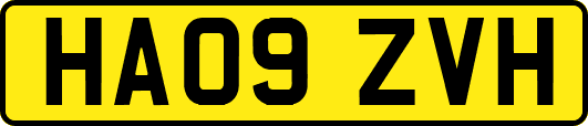 HA09ZVH