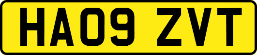 HA09ZVT