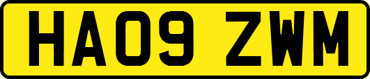 HA09ZWM