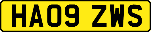 HA09ZWS