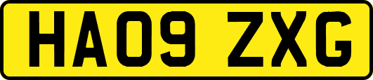 HA09ZXG