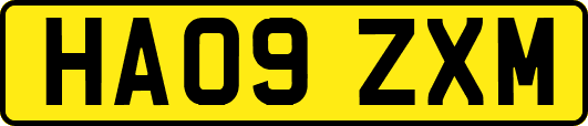 HA09ZXM