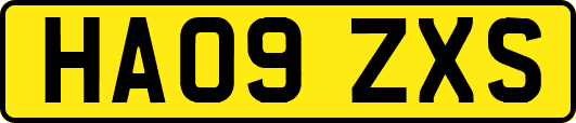 HA09ZXS