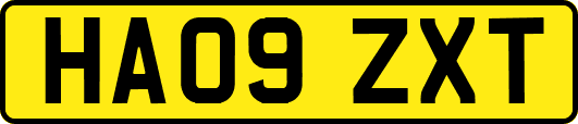 HA09ZXT