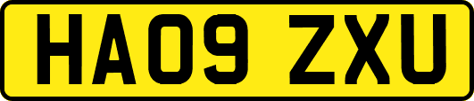 HA09ZXU